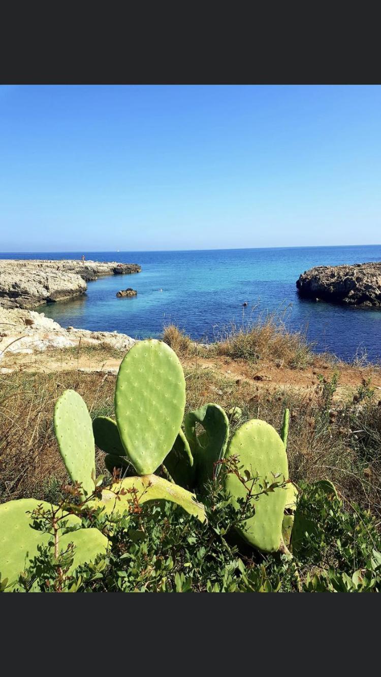 Ristella Home Monopoli Dış mekan fotoğraf